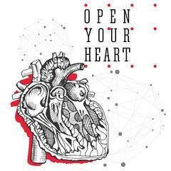Human heart. Hand drawing vintage illustration