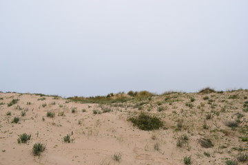 Mi pequeño desierto