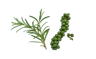 Rosemary and green peppercorns isolated on white background, Top view.