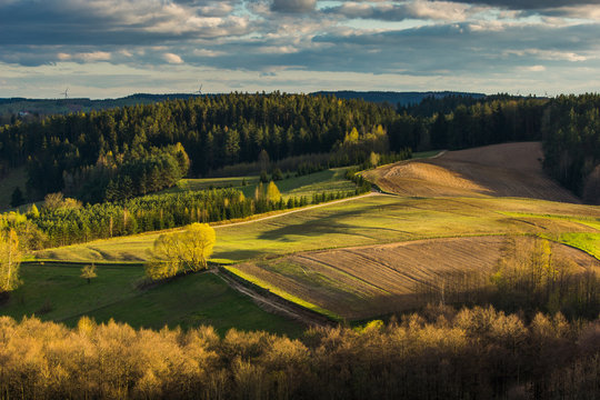 Spring view of road, meadows and trees in Suwalski landscaped park, Podlasie, Poland