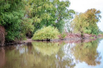 Canal with trees and vegetation reflected in the water. Specific landscape of this area.