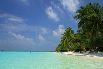 Maldivian beach, Ari Atol, Maldives
