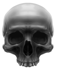 Obraz premium Detailed graphic grey human skull with teeth illustration