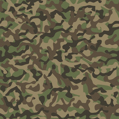 Fototapeta premium Classic camouflage seamless background