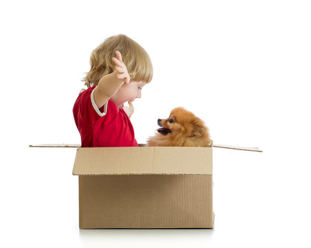 Smiling Child Playing With Dog In Cardbox Isolated On White Background