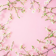 Plakat Flower background. Floral round frame of spring white flowers on pink background. Flat lay, top view.