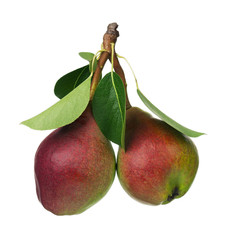 Ripe green pear