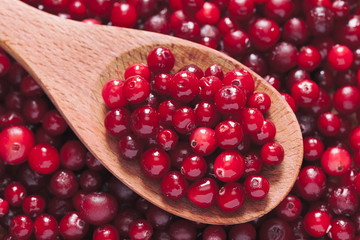 Fresh cranberry in a wooden spoon