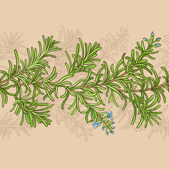 rosemary vector pattern