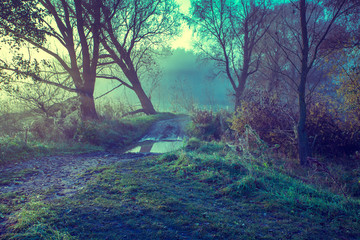 Misty autumn rural landscape at sunrise