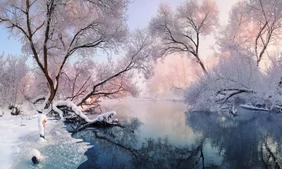 Meist ruhiger Winterfluss, umgeben von Bäumen, die mit Raureif und Schnee bedeckt sind, der auf ein wunderschönes rosa Morgenlicht fällt.Weihnachtsspitze.Wunderschöne Winterlandschaft in rosa Tönen.Europa © Vlad Sokolovsky