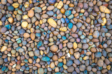 Abstract smooth round pebbles sea stone texture background