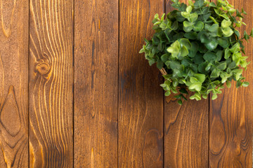 Potted grass flower over wooden table