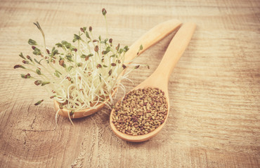 Fresh alfalfa sprouts and seeds - closeup.