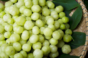 top view fresh Phyllanthus acidus or star gooseberry on bamboo basket background