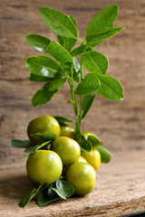 Orange or Citrus Japonica Thunb  on wood table.