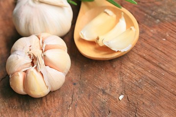 garlic