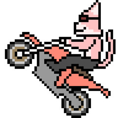 vector pixel art biker cat