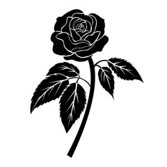 black rose illustration, tattoo on white background, isolated vector - 152083841