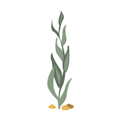 Sea Floor Seagrass, Part Of Mediterranean Sea Marine Animals And Reef Life Illustrations Series