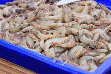 Shrimp at the market