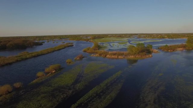 Top view of river floodplain in spring with bushes reeds and grass in water aerial 4k 