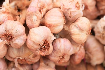 Garlic at the market