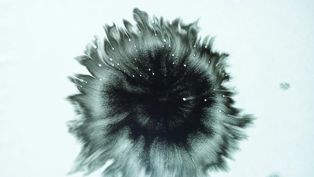 Drop of black ink. Ink splatter on white background. Black splash expanding on white paper backdrop. Horizontal HD ink drips and splatter video.