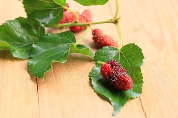 fresh organic mulberry fruit