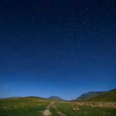 Obraz na płótnie Canvas Night road in the steppe under the stars.