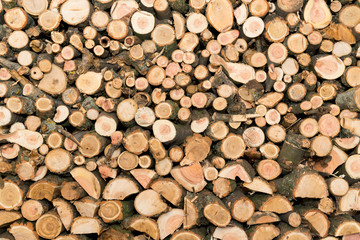 The structure of the tree in a section. Raw materials for heating the housing.