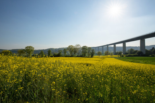 Sunny Canola field with River Ruhr Bridge / Germany