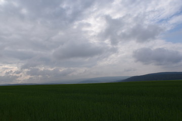 Obraz premium Wolkenhimmel
