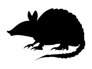 pangolin