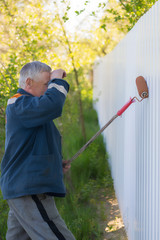 A gray-haired man in his age paints a white metal fence with a roller in summer or spring
