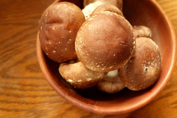 椎茸