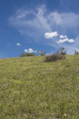 Green prairie field with rolling clouds and blue sky