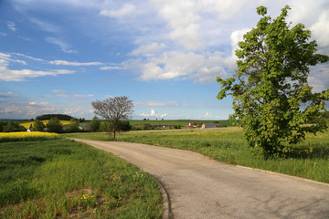 Fototapeta na wymiar Spring landscape / Landscape with a road in the foreground