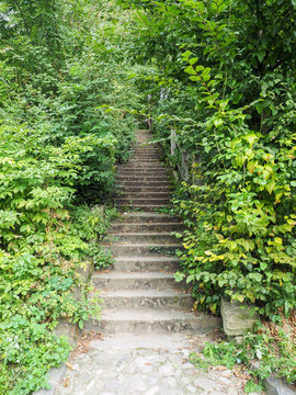 Stair in Sighisoara, surrounded by lush vegetation