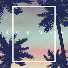 Summer night palm tree background