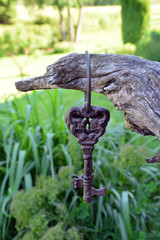 Ancient key on green background.