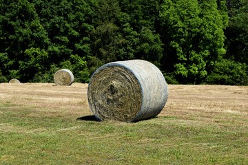 Rolled bales of hay at farm rural Georgia, USA