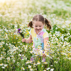 Little girl picking flowers in daisy field