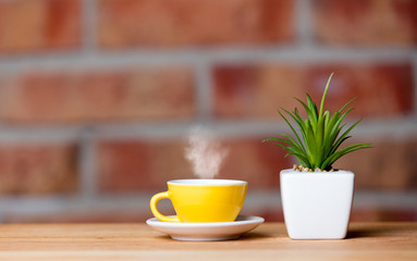 plant and cup of coffee