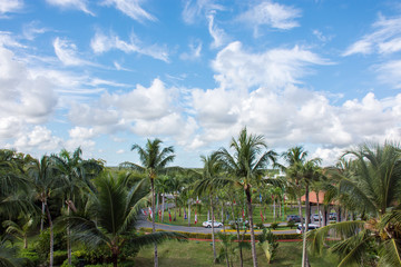 Beautiful tropical view