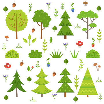 Different forest plants, trees mushrooms and other floral elements. Cartoon vector illustration isolate on white