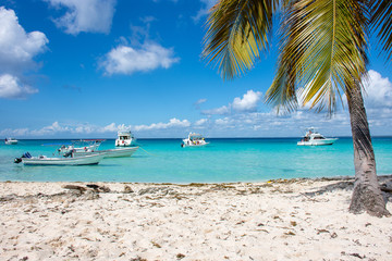 Speed Boats in the clear ocean on a background of palm trees and beautiful clouds.