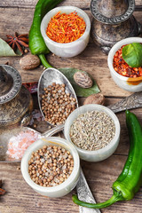 diversity of oriental spices