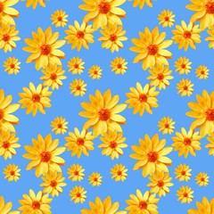 Fototapeta na wymiar Adonis Seamless pattern texture of flowers. Floral background,