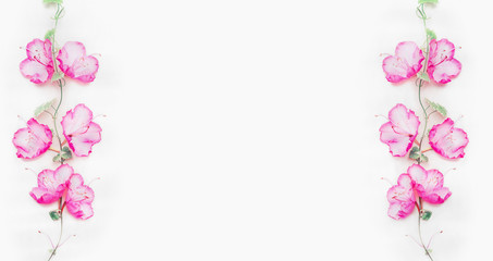 Floral banner frame with pink flower buds, branches and leaves on climbing plant on white background, top view, copy space